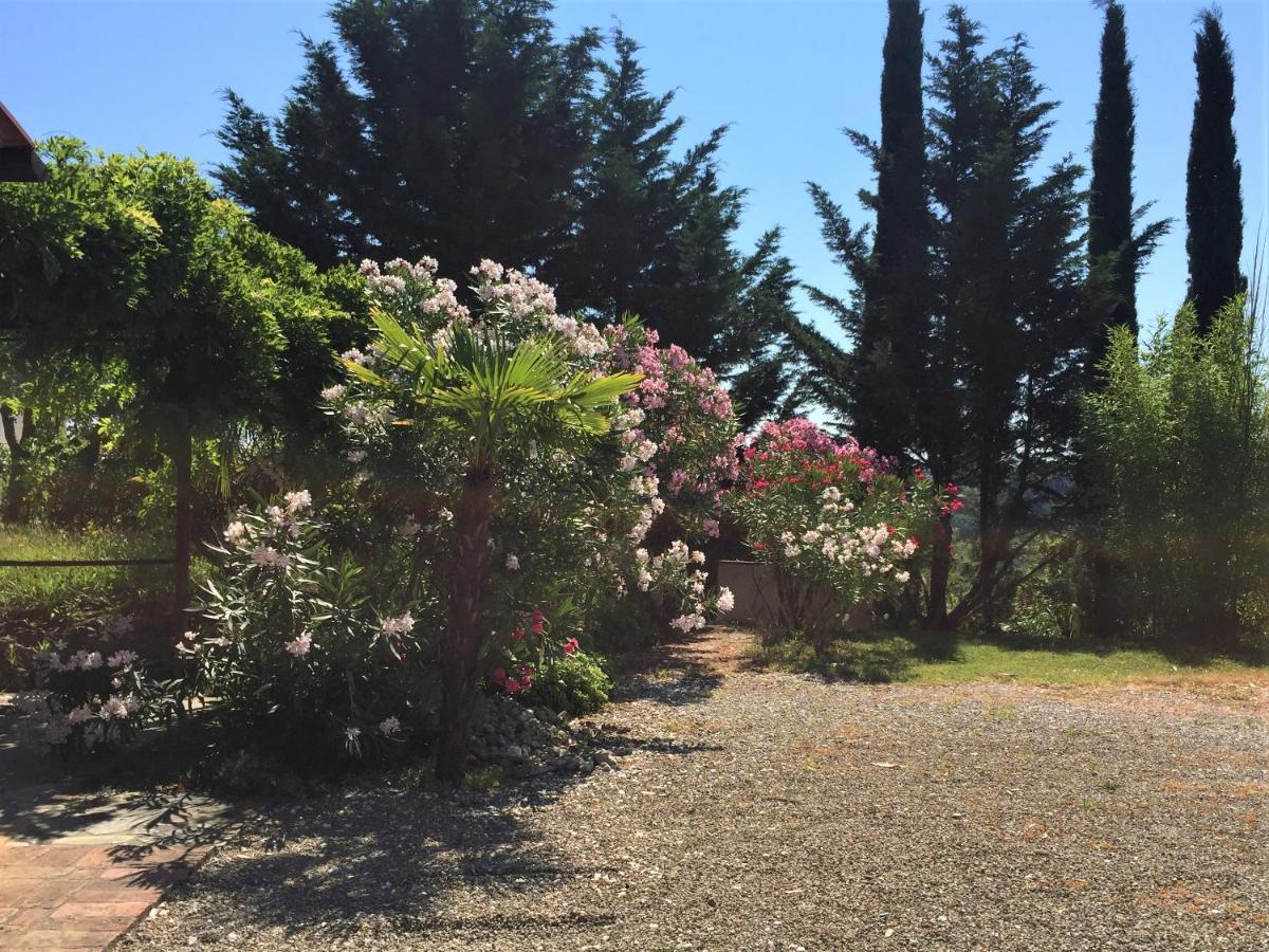 Poggio Magginga Apartment Terricciola Luaran gambar
