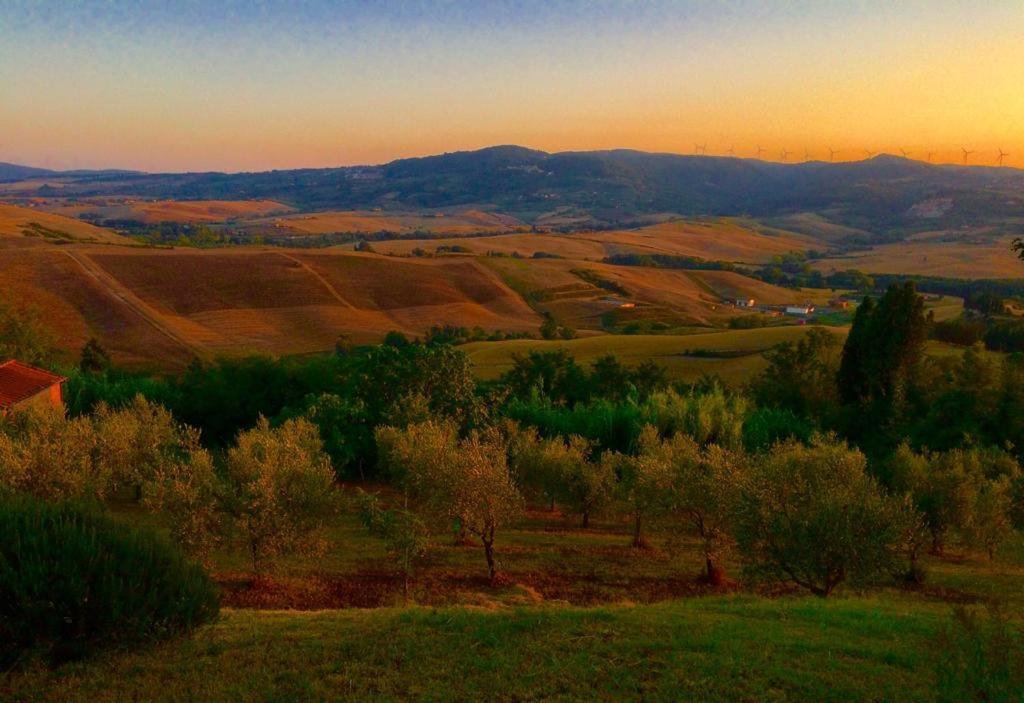 Poggio Magginga Apartment Terricciola Luaran gambar